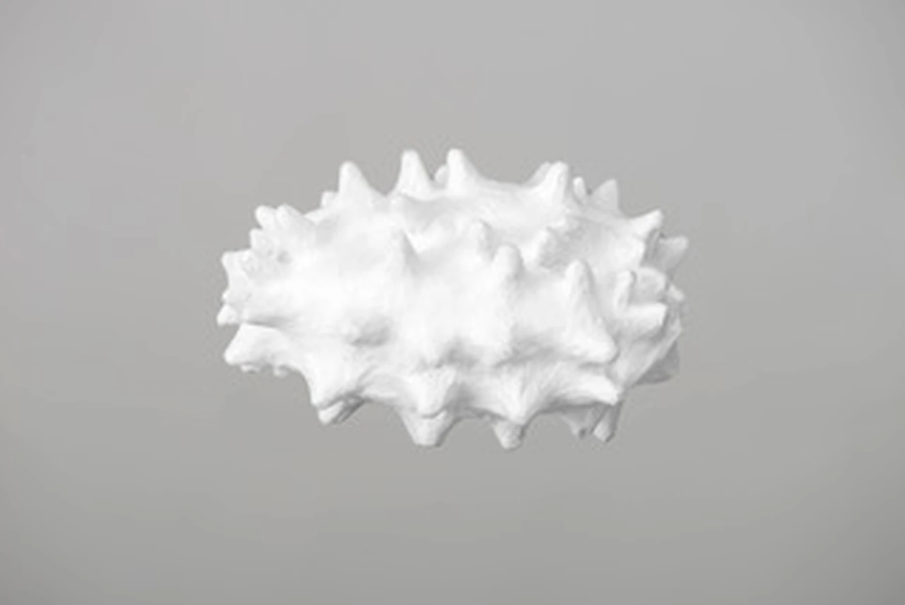 Concombre blanc 01, 2017, Seidenpapier, 9 x 13 cm