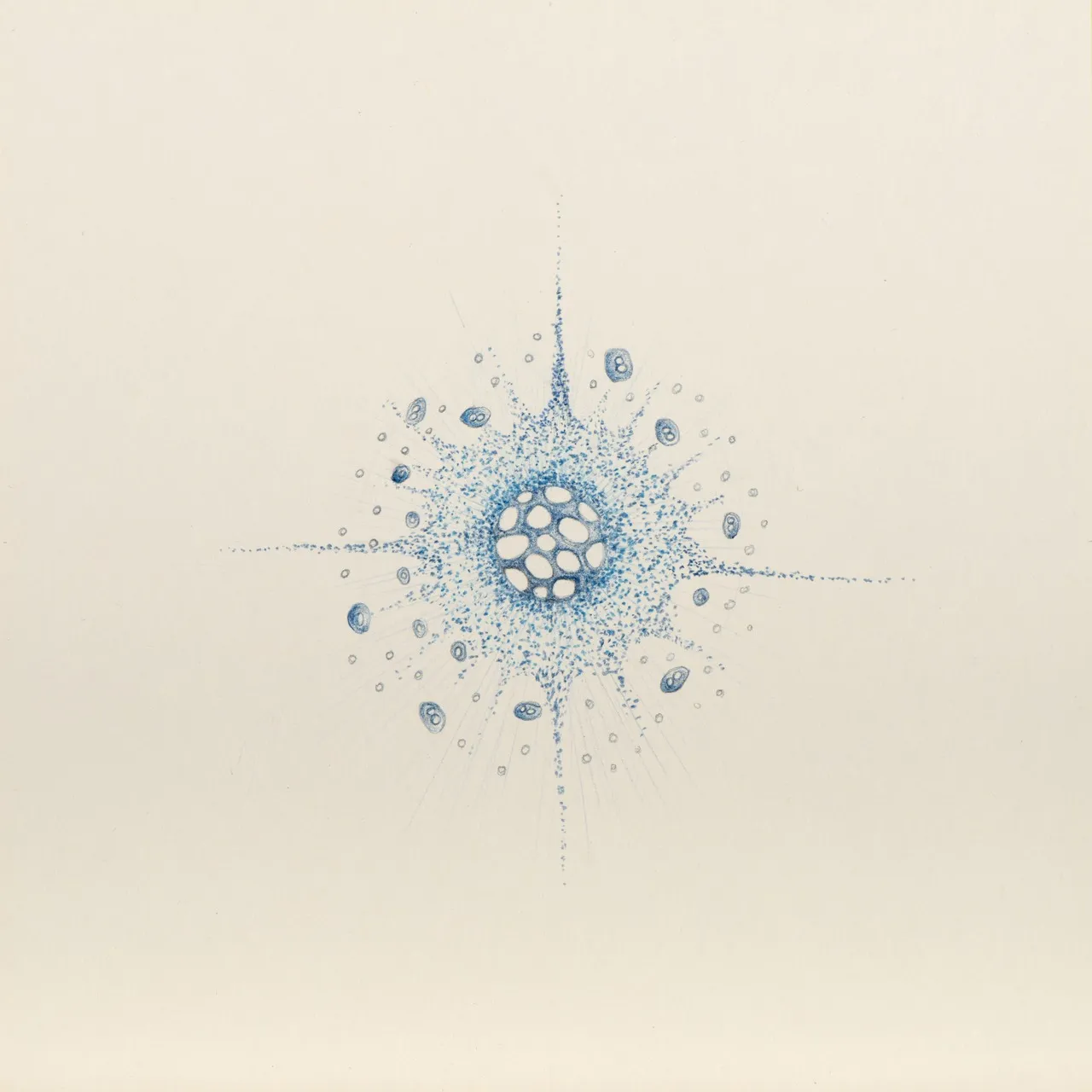 Diatomea blau 03, 2017, Buntstiftzeichnung, 20 x 20 cm